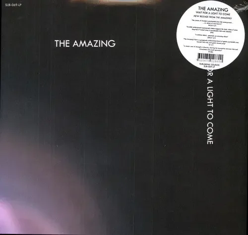 The Amazing Wait for a Light to Come – VINYL LP