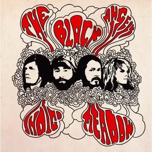 The Black Angels Indigo Meadow – COMPACT DISCS