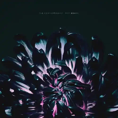 The Contortionist Our Bones – COMPACT DISCS