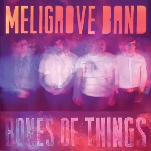 The Meligrove Band Bones Of Things – VINYL LP