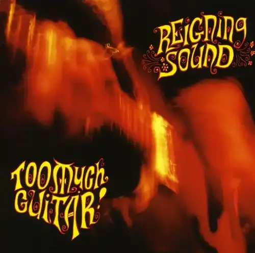 The Reigning Sound Too Much Guitar – COMPACT DISCS