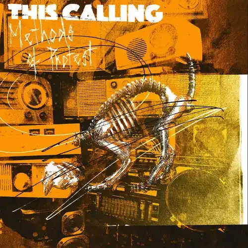 This Calling Methods Of Protest – VINYL LP