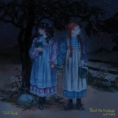 Told Slant Point The Flashlight And Walk – VINYL LP