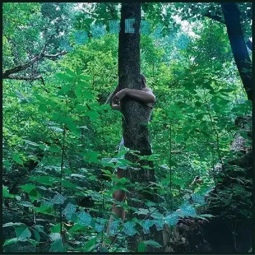 Tomberlin Projections – VINYL LP