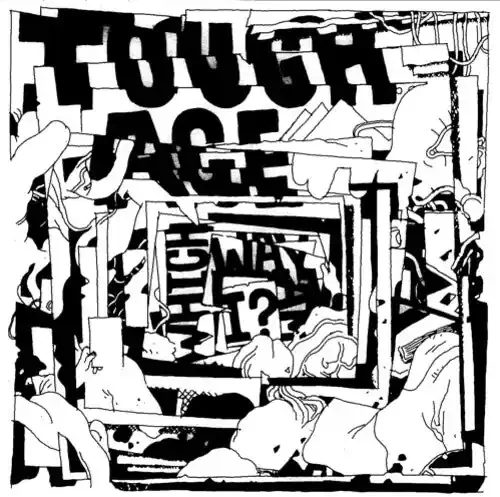 Tough Age Which Way Am I? – VINYL LP