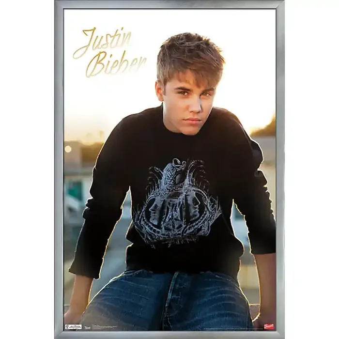Trends International Justin Bieber – Twilight Poster Framed Silver Guitar Center