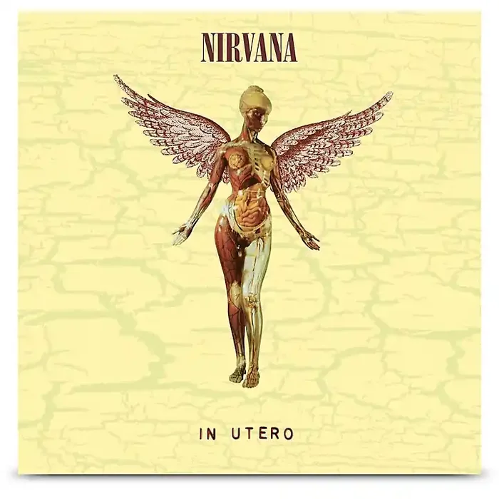 Universal Music Group Nirvana – In Utero (30th Anniversary) [LP + 10″ LP] Guitar Center