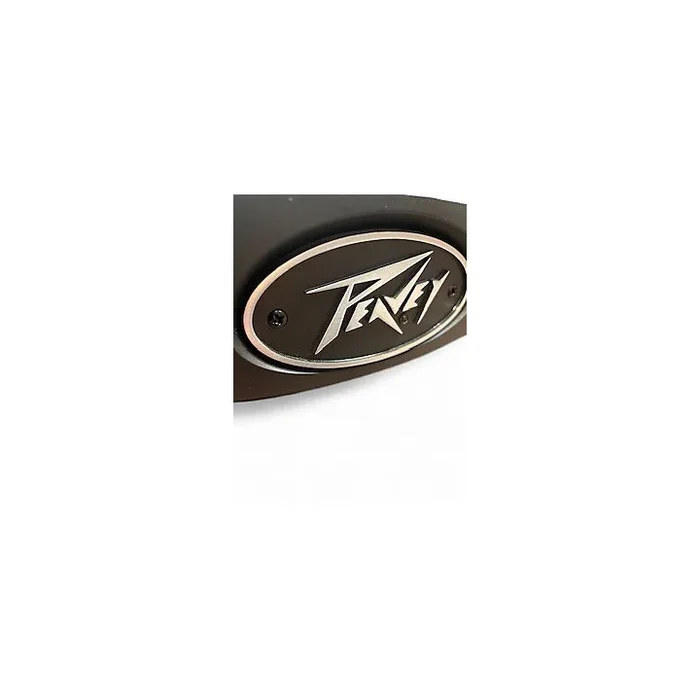 Used Peavey ESCORT Unpowered Speaker