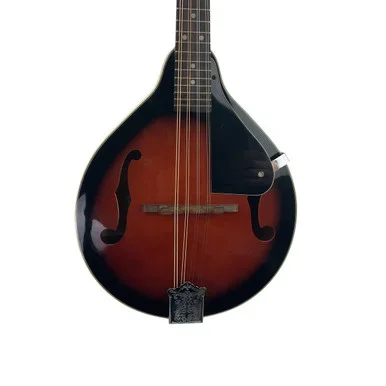 Used SX MD30/VS Mandolin