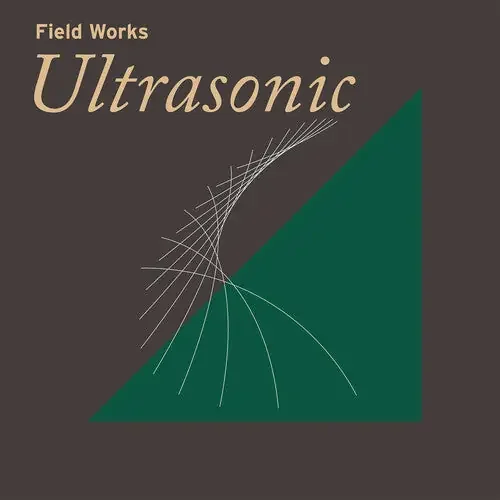 Various Field Works Ultrasonic / Various – COMPACT DISCS