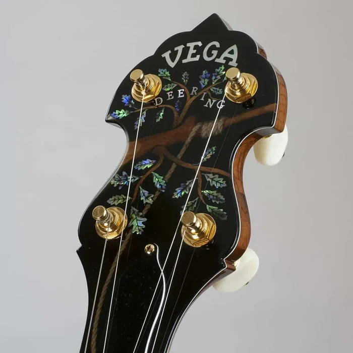 Vega® Kingston Trio Tom Dooley Long Neck Banjo