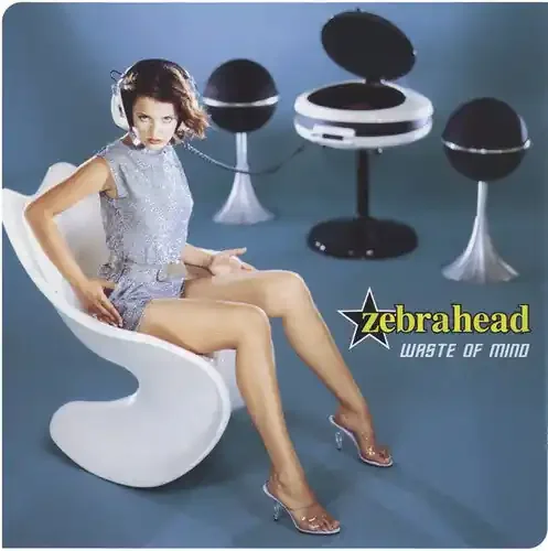 Zebrahead Waste Of Mind – COMPACT DISCS